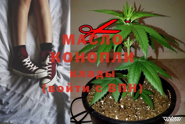 индика Баксан