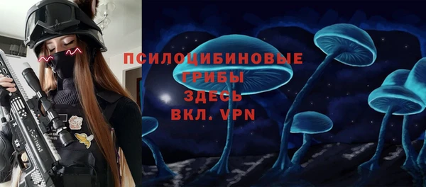 индика Баксан