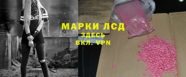индика Баксан