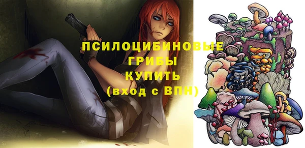 индика Баксан