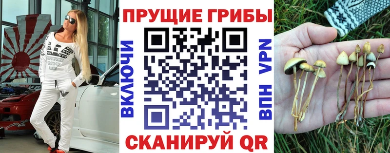 Галлюциногенные грибы мицелий  купить наркотики цена  Сковородино 